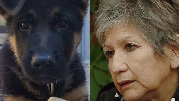 La emotiva historia del cachorro que dio la vida por su dueña en las llamas de Potrerillos