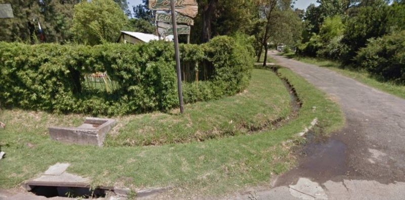 Dos pitbull asesinaron a una travesti