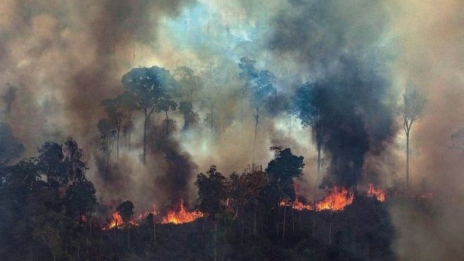 Incendios en el Amazonas: Bolsonaro dice que Brasil aceptará la ayuda de US$22 millones del G7 si Macron retira sus “insultos”