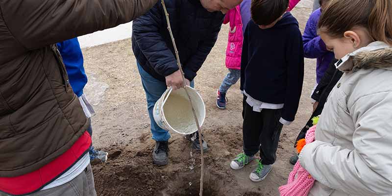 Actividades por el Día del Árbol