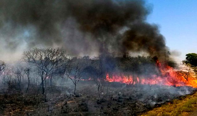 Incendios en el Amazonas: militares y policías aceleran el combate al fuego y los indígenas quieren la ayuda del Vaticano