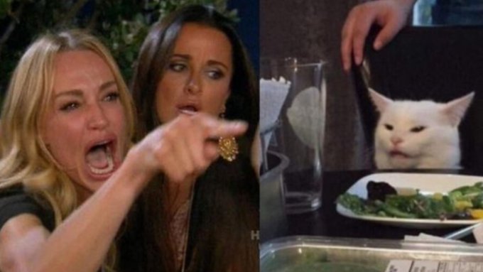 El origen del meme viral del gato y la mujer: quién lo creó