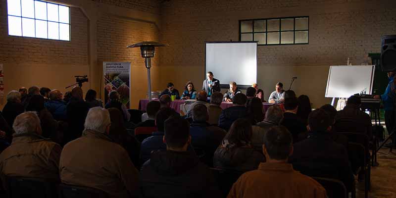 Alvear, sede del II Foro del Clúster de Ciruela para Industria