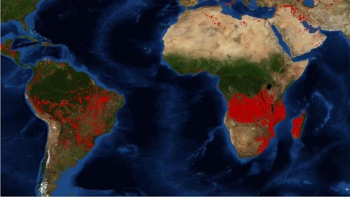Incendios en el África: el “segundo pulmón verde” del planeta también arde
