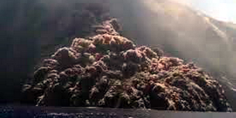Escape «de película» de turistas en una lancha para no ser alcanzados por la erupción del volcán Stromboli