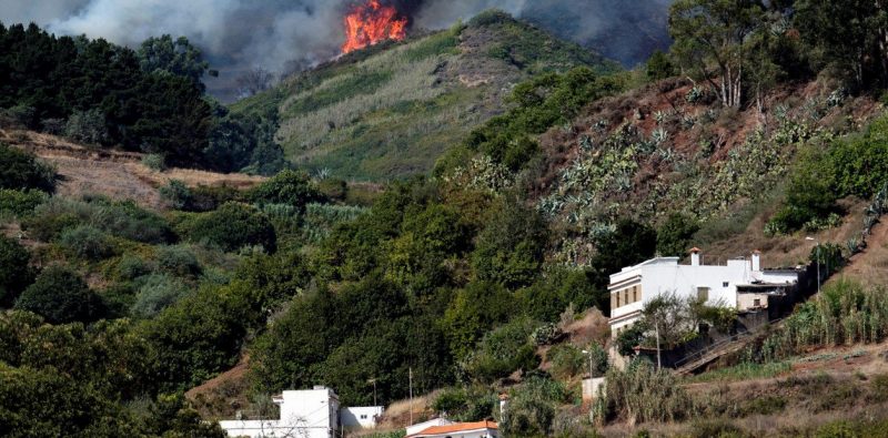 Incendio forestal en Islas Canarias: ya arrasó 3.400 hectáreas y hay 5.000 evacuados