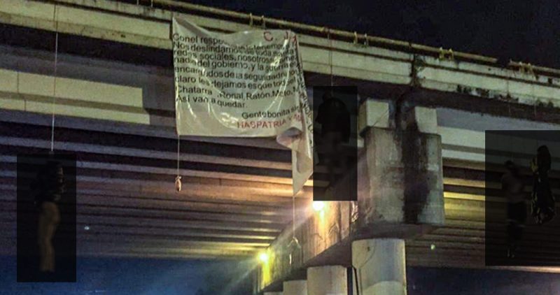Hallan 19 cadáveres con signos de violencia en Michoacán, México