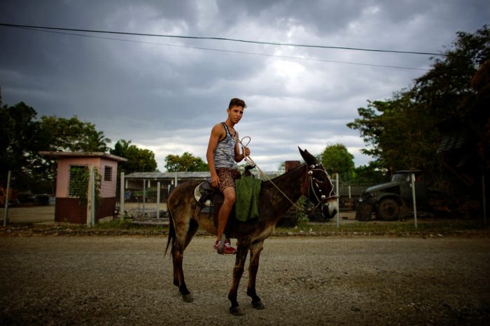 Tracción a sangre: insólito pedido del régimen cubano por la crisis energética