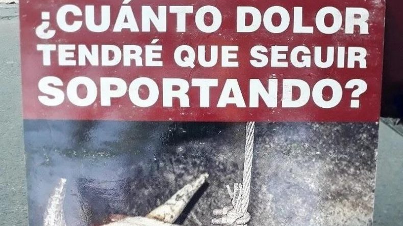 Veganos protestaron en la Fiesta del salame de Tandil contra “el sufrimiento animal”