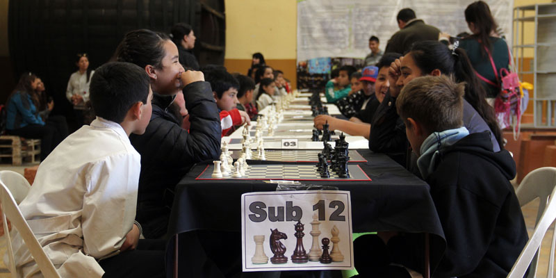 Se disputó el Faraoncito, importante torneo de ajedrez