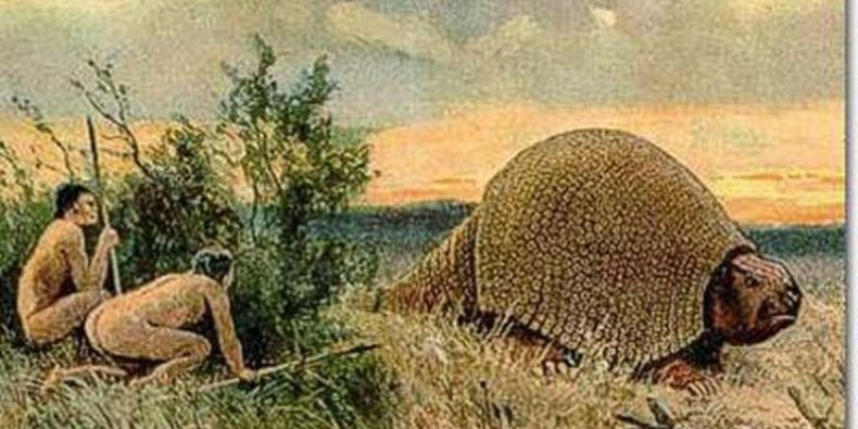 Hallaron el caparazón de un gliptodonte de más de 10 mil años de antigüedad