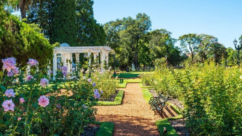 Selva, montaña y ciudad: 7 destinos nacionales para conocer en primavera