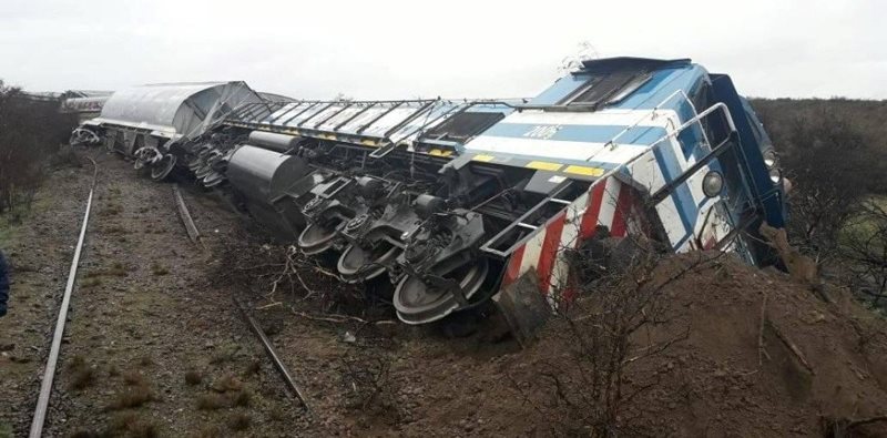 Un tren embistió a una vaca y descarriló