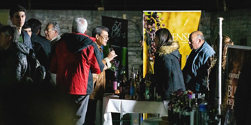 Se realizó Evinsur 2019, música, amigos y el mejor vino de la región
