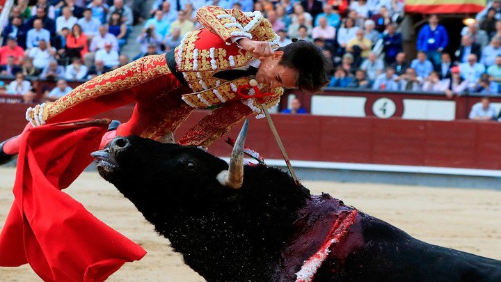 Impactante cornada sufrió el torero Gonzalo Caballero