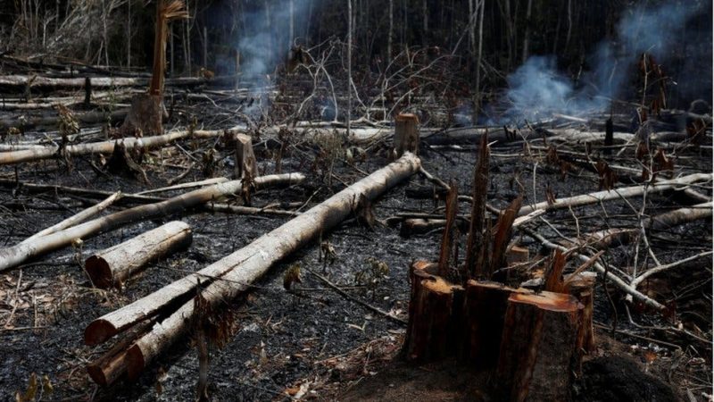 Apocalíptica advertencia de más de 11.000 científicos de todo el mundo