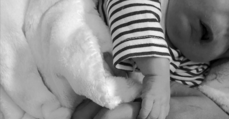 El “bebé sin rostro” sigue aferrado a la vida y ya está en casa con sus papás
