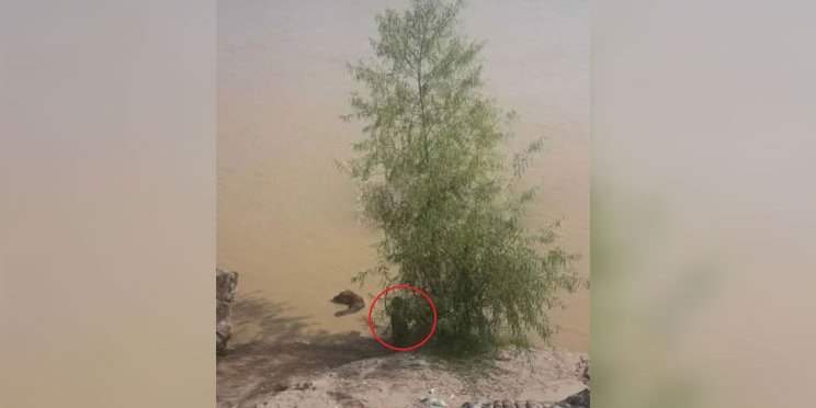Tenebroso caso en Santiago del Estero: dieron por muerto a un nene de 11 años y vieron su silueta en una foto