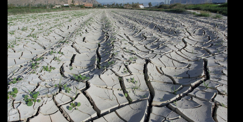 Informe alarmante: el 31 de diciembre termina la década más calurosa de la historia