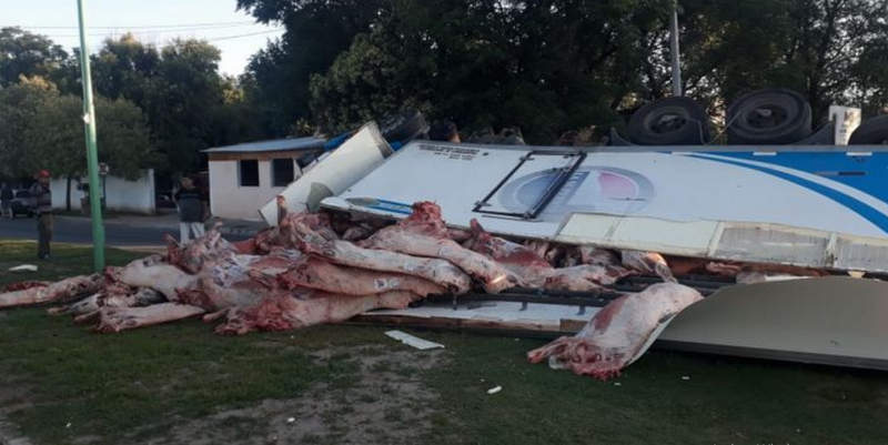 Espectacular vuelco de un camión con 12 toneladas de carne