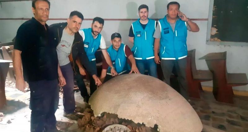 En un colegio abandonado hallaron los restos de un animal que se extinguió hace 10 mil años