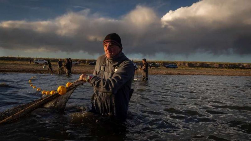 Operativo rescate en Las Salinas para sacar peces de una laguna que se seca