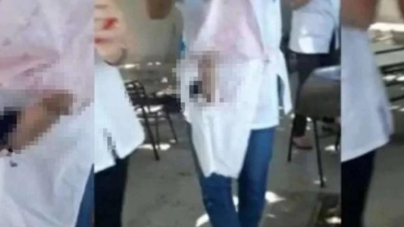 Escándalo en San Juan: maestras celebraron en la escuela con juguetes sexuales