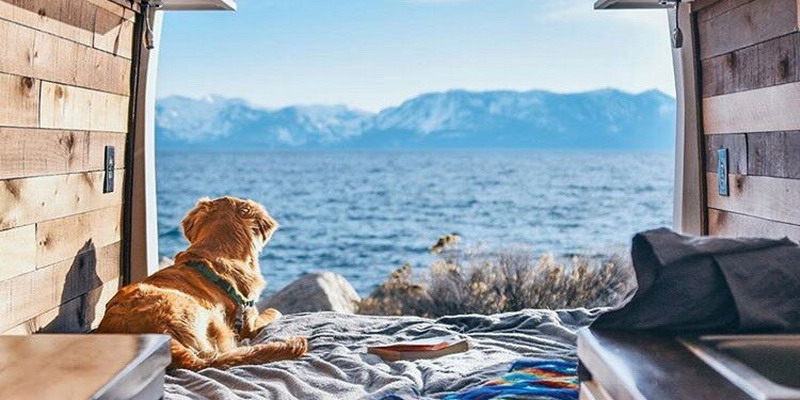 Dejó todo (incluyendo a su novio) y se fue a viajar en una van con su perro