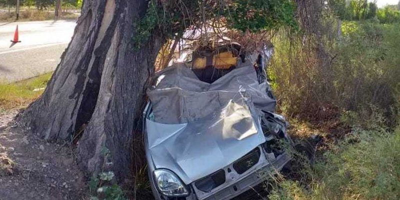 El conductor de una camioneta chocó contra un árbol y murió