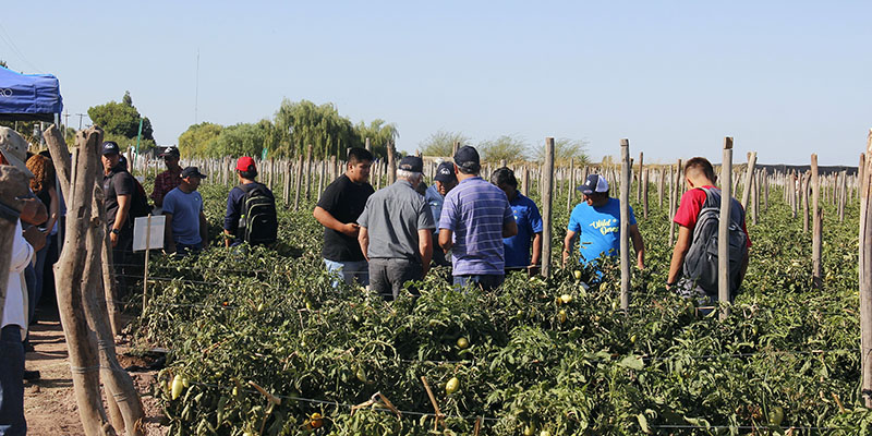 Nuestro departamento presente en la Expo Hortícola Mendoza 2020