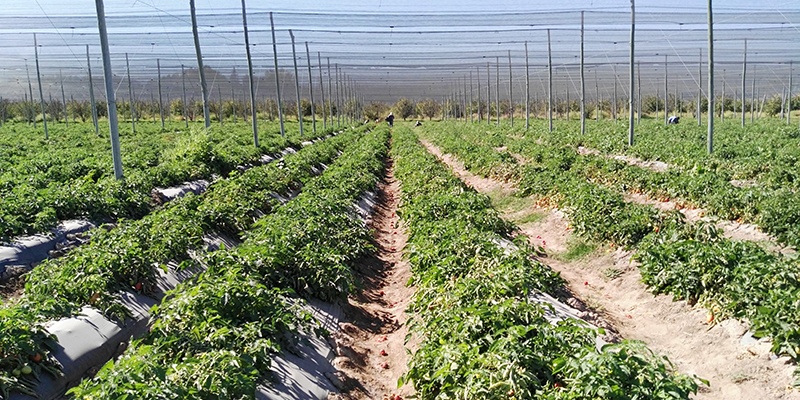 Se firmaron dos decretos que favorecen al sector agrícola
