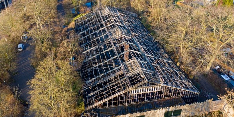 Incendio y muerte de 30 animales en un zoo: tres mujeres se autoinculparon