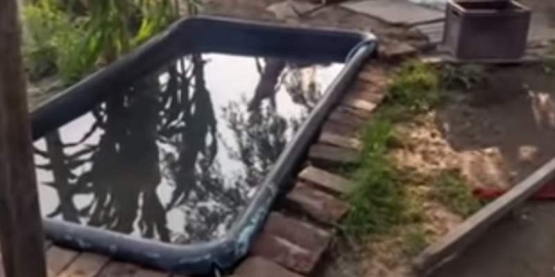 “¡Ahogalo!”: detuvieron a una pareja en Rosario por intentar matar a su hijo de 9 años