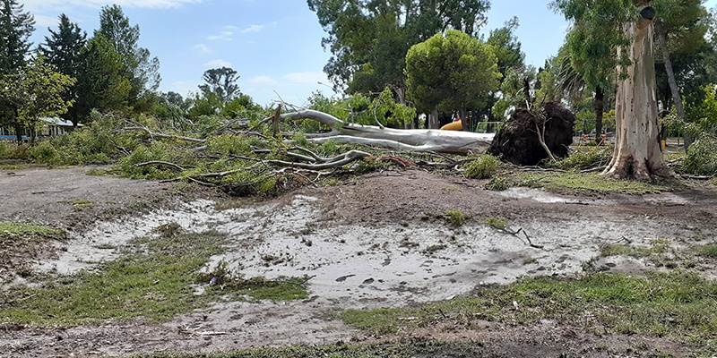 Declararon Emergencia Social y Ambiental en San Pedro del Atuel