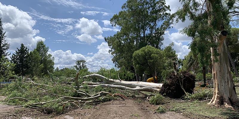 La Municipalidad brinda ayuda a los damnificados por la tormenta