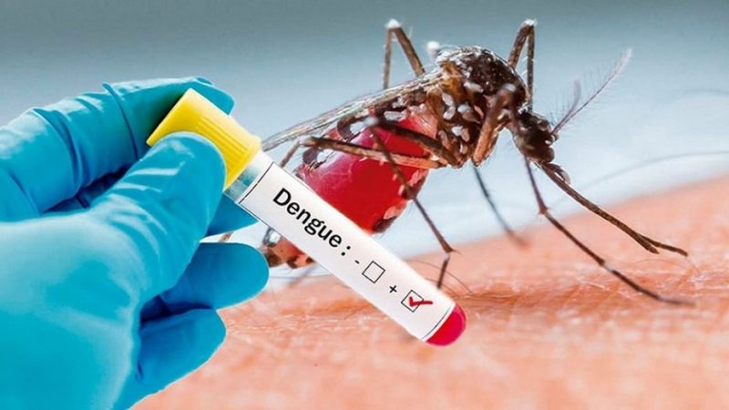 Dengue: se notificaron 56.324 casos y se registra circulación viral en 15 jurisdicciones