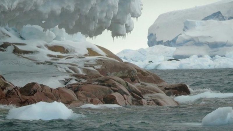 Cambio climático: surge una isla en la Antártida por efecto del deshielo glaciar