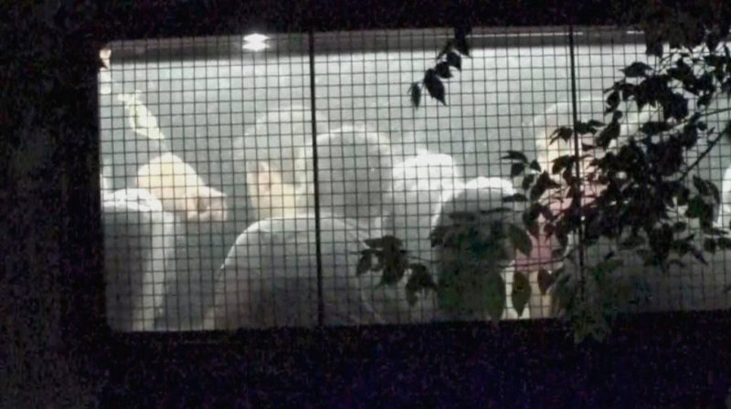 Crimen en Villa Gesell: el “sospechoso 11” se presentó en la Justicia