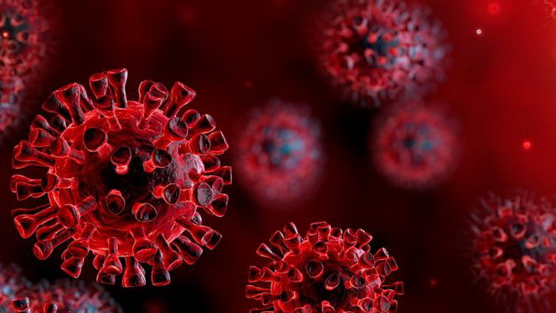 Guía rápida para entender los virus, esos “pequeños demonios astutos”