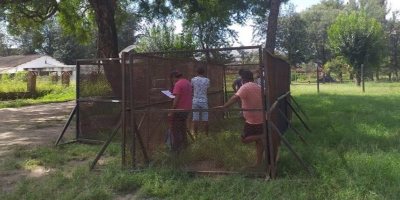 En una ciudad jujeña encierran en corralitos a infractores de la cuarentena