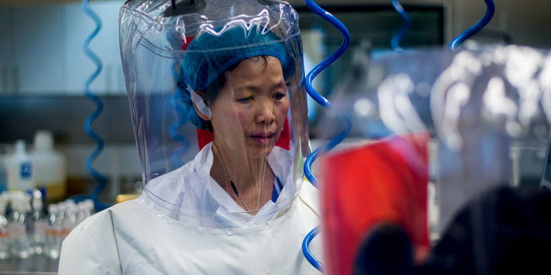 Viróloga china advirtió de virus ligado a los murciélagos, un año antes, pero fue silenciada
