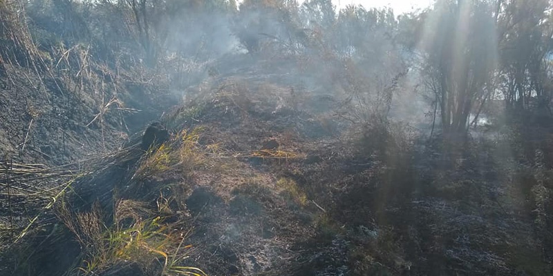 Bomberos de Bowen trabajaron en un nuevo incendio