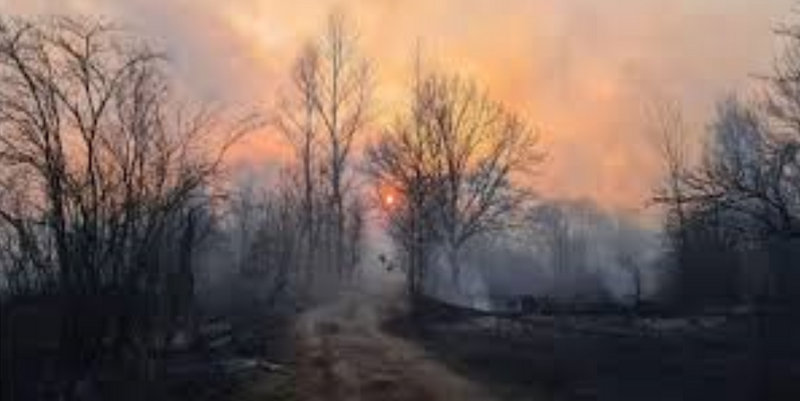 Chernobyl: subió 16 veces la radiación nuclear por incendios y la nube de humo llegó a Kiev