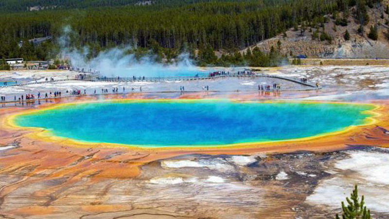Coronavirus: el descubrimiento en las termas de Yellowstone, clave para hacer los tests del covid-19