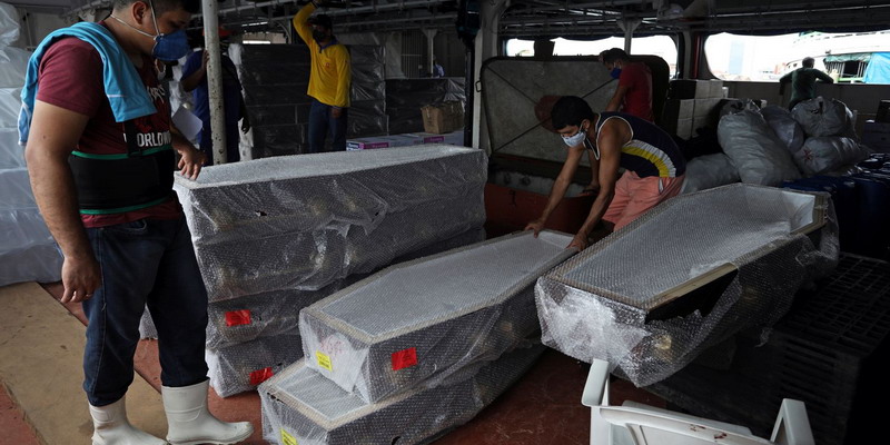 Brasil registró 1.180 muertes en las últimas 24 horas
