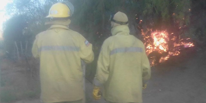 Continúan los incendios de malezas