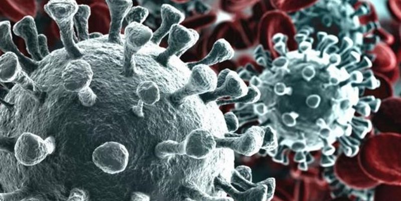 El coronavirus ya mató a más de un millón de personas en el mundo