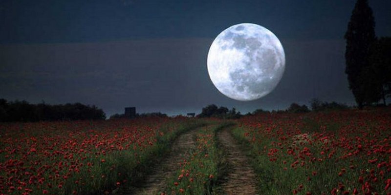 La NASA informó un descubrimiento impensado en la Luna