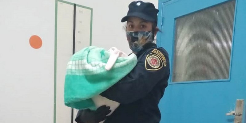Recuperaron a la beba vendida por Facebook: su mamá denunció que se la robaron