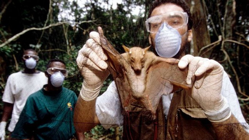 “Esta no es la última pandemia”